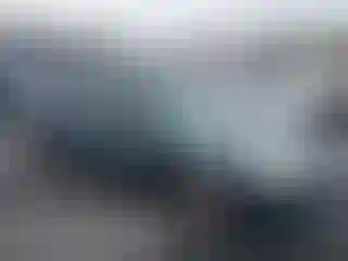 Vehicle Image- 1998 Honda Civic