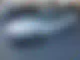 Vehicle Image- 1999 Honda Civic