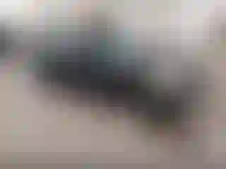 Vehicle Image- 1996 Honda Civic