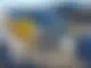 Vehicle Image- 1997 Honda Civic