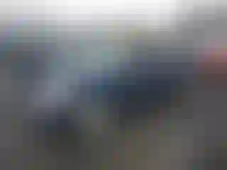 Vehicle Image- 2004 Honda Civic