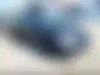 Vehicle Image- 2004 Honda Civic