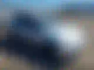 Vehicle Image- 2002 Honda Civic