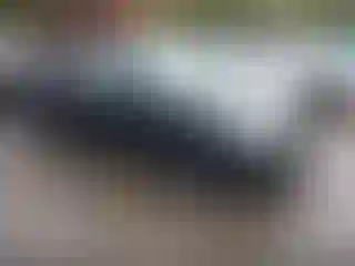 Vehicle Image- 2005 Honda Civic