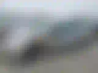 Vehicle Image- 2002 Honda Civic