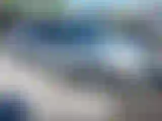 Vehicle Image- 2002 Honda Civic