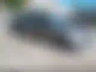 Vehicle Image- 2005 Honda Civic