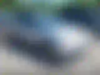 Vehicle Image- 2004 Honda Civic