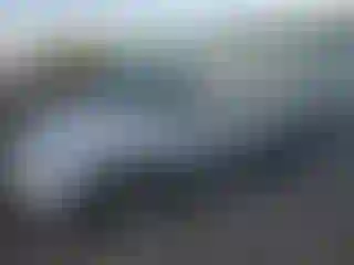 Vehicle Image- 2005 Honda Civic