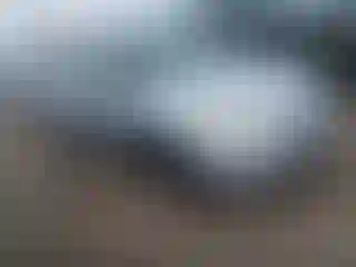 Vehicle Image- 2005 Honda Civic