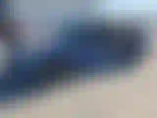 Vehicle Image- 2004 Honda Civic