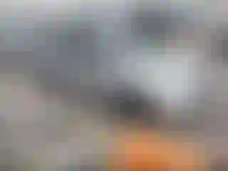 Vehicle Image- 2005 Honda Civic