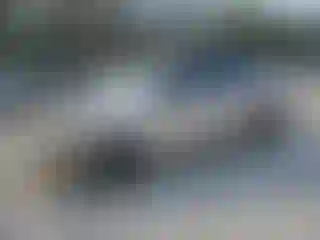 Vehicle Image- 2002 Honda Civic