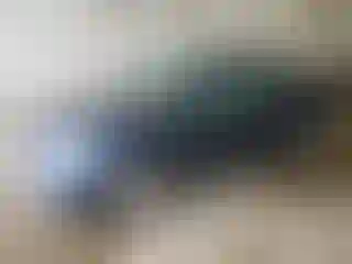 Vehicle Image- 2005 Honda Civic