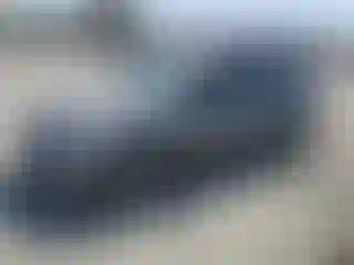Vehicle Image- 2005 Honda Civic