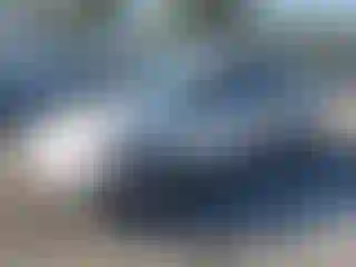 Vehicle Image- 2001 Honda Civic