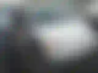 Vehicle Image- 2002 Honda Civic