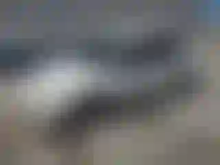 Vehicle Image- 2003 Honda Civic