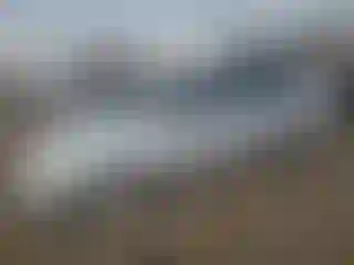 Vehicle Image- 2003 Honda Civic
