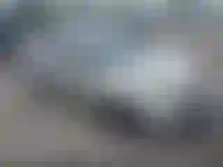 Vehicle Image- 2003 Honda Civic