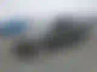 Vehicle Image- 2004 Honda Civic