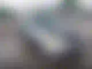 Vehicle Image- 2002 Honda Civic