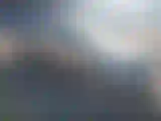 Vehicle Image- 2004 Honda Civic