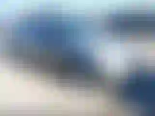 Vehicle Image- 2004 Honda Civic
