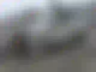 Vehicle Image- 2004 Honda Civic