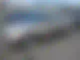 Vehicle Image- 2001 Honda Civic