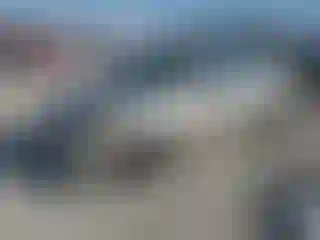 Vehicle Image- 2002 Honda Civic