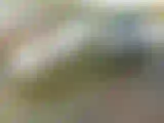 Vehicle Image- 2002 Honda Civic