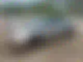 Vehicle Image- 2003 Honda Civic