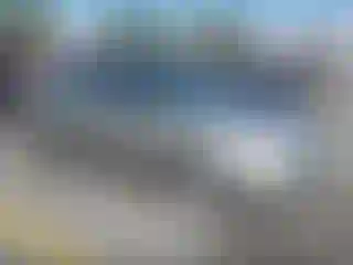 Vehicle Image- 2004 Honda Civic