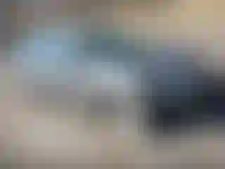Vehicle Image- 2005 Honda Civic