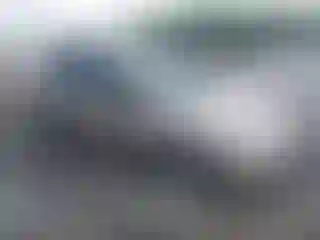 Vehicle Image- 2004 Honda Civic