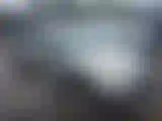 Vehicle Image- 2005 Honda Civic