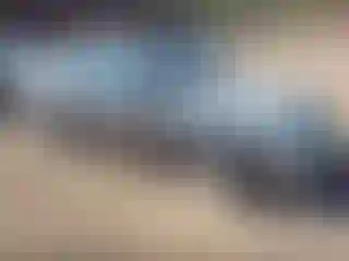 Vehicle Image- 2005 Honda Civic