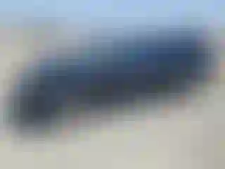 Vehicle Image- 2005 Honda Civic