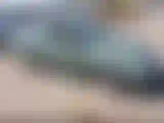 Vehicle Image- 2004 Honda Civic