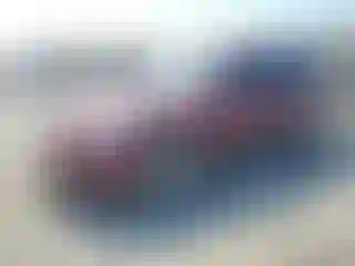 Vehicle Image- 2004 Honda Civic