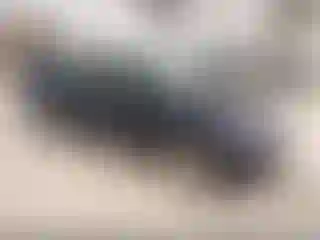 Vehicle Image- 2004 Honda Civic