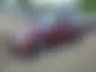 Vehicle Image- 2002 Honda Civic