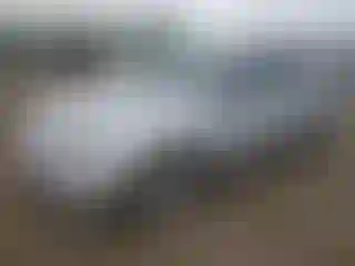 Vehicle Image- 2003 Honda Civic