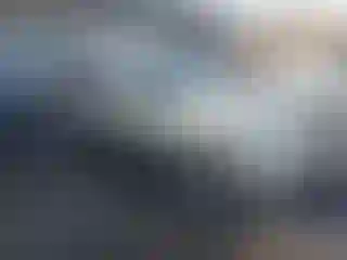 Vehicle Image- 2004 Honda Civic