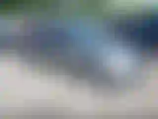 Vehicle Image- 2004 Honda Civic