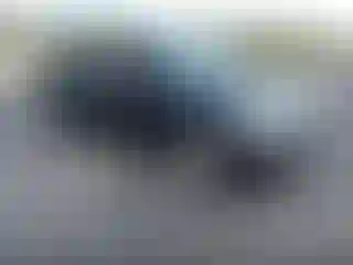 Vehicle Image- 2004 Honda Civic