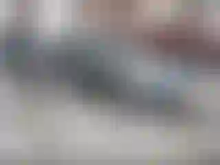 Vehicle Image- 2004 Honda Civic