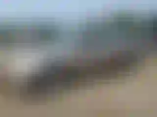 Vehicle Image- 2003 Honda Civic
