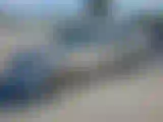 Vehicle Image- 2004 Honda Civic